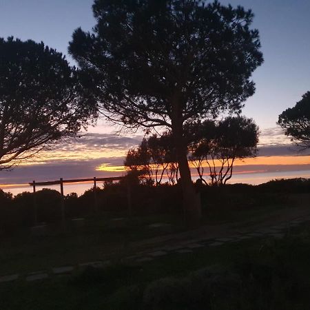 Villetta Porto Corallo Vista Mare فيلابوتزو المظهر الخارجي الصورة