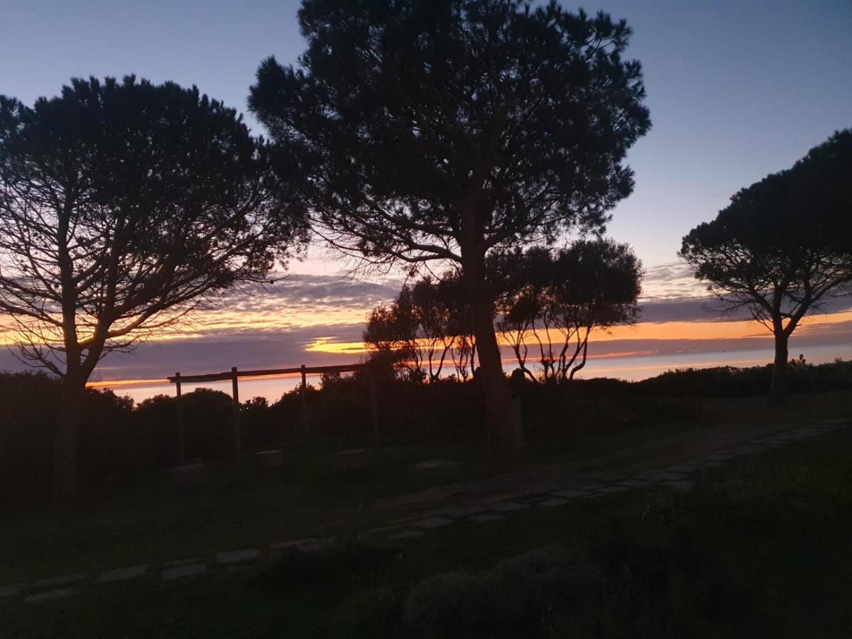 Villetta Porto Corallo Vista Mare فيلابوتزو المظهر الخارجي الصورة